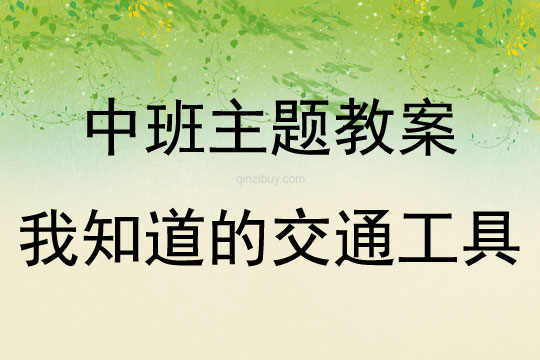 中班主題活動教案：我知道的交通工具教案(附教學(xué)反思)