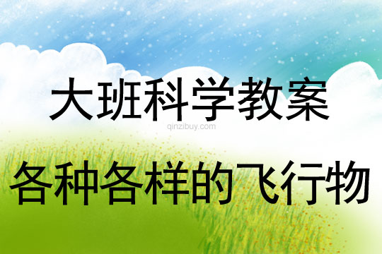 大班科學教案：各種各樣的飛行物大班科學教案：各種各樣的飛行物