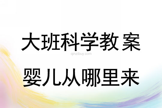 大班科學教案：嬰兒從哪里來大班科學教案：嬰兒從哪里來