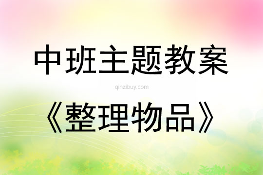 中班主題活動整理物品教案反思