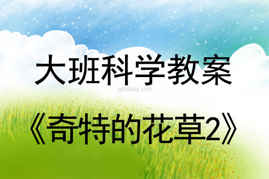 大班科學活動：奇特的花草2大班科學活動：奇特的花草2