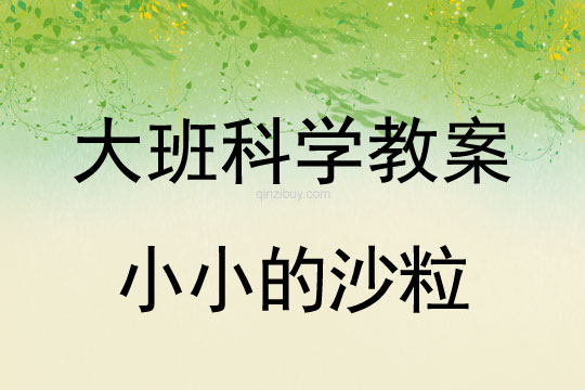 大班科學(xué)教案：小小的沙粒大班科學(xué)教案：小小的沙粒