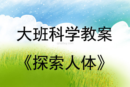 幼兒園科學教案：探索人體幼兒園科學教案：探索人體