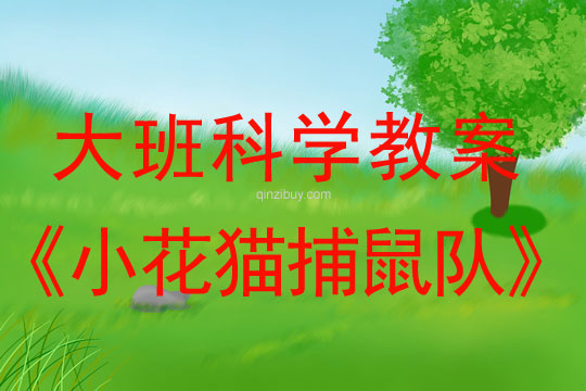 幼兒園大班科學領域：小花貓捕鼠隊大班科學領域：小花貓捕鼠隊