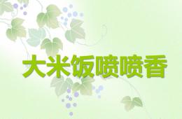 小班科學大米飯噴噴香PPT課件