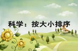 小班科學按大小排序PPT課件