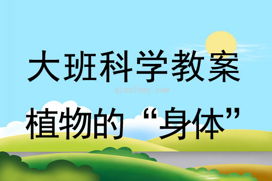 大班科學教案：植物的“身體”大班科學教案：植物的“身體”