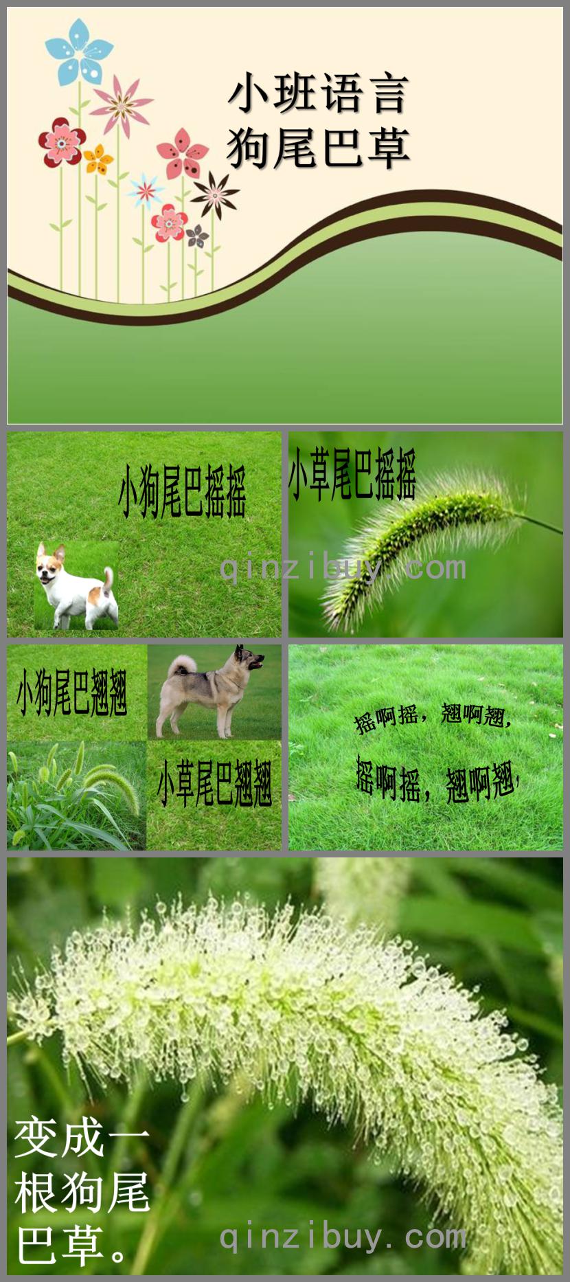 小班語(yǔ)言狗尾巴草PPT課件