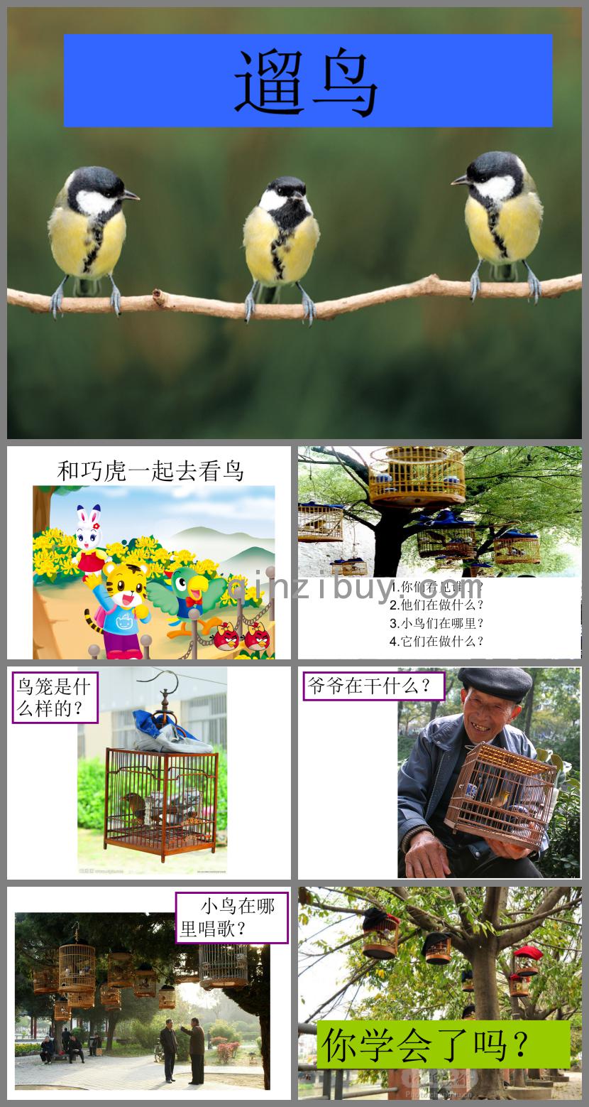 小班社會遛鳥PPT課件