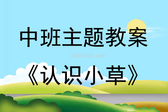 中班主題活動教案：認識小草教案(附教學反思)