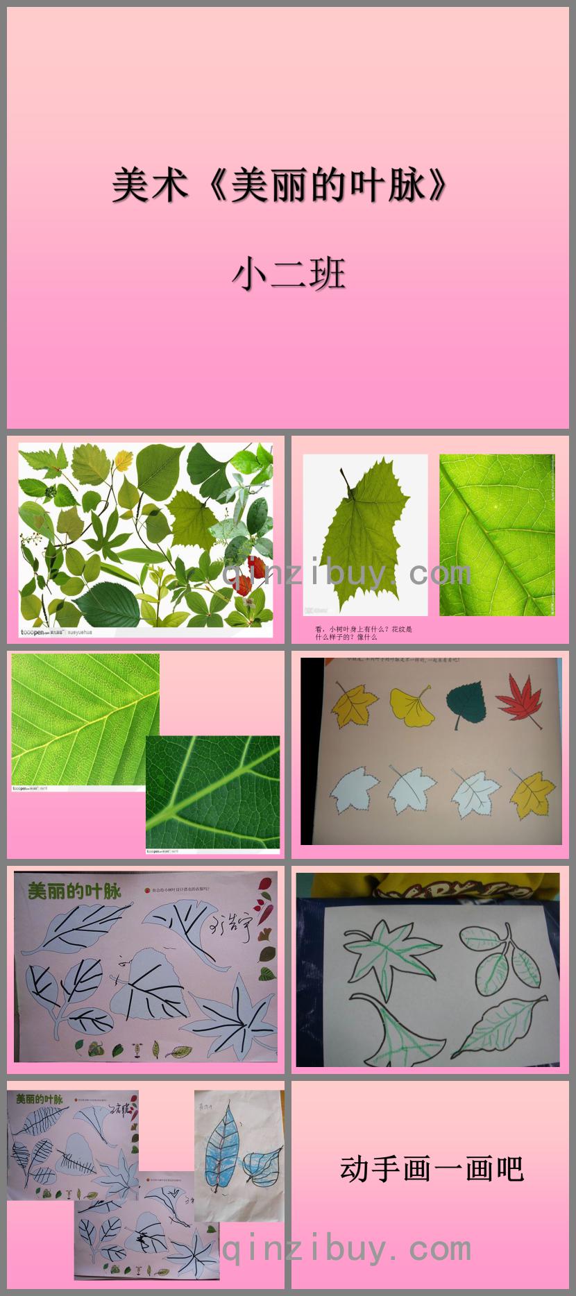 小班藝術美麗的葉脈PPT課件