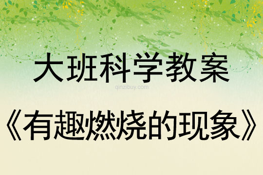 大班科學教案:有趣燃燒的現象大班科學教案:有趣燃燒的現象