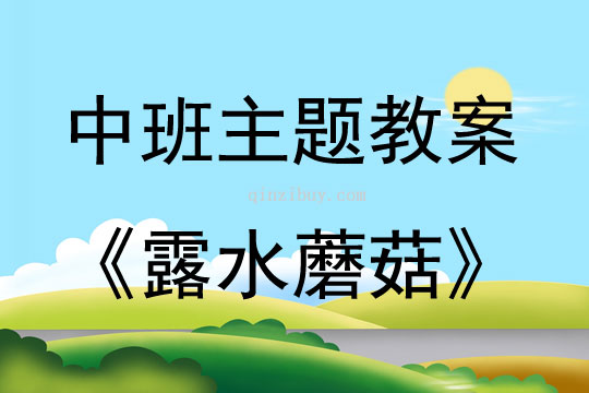 中班主題活動露水蘑菇教案反思