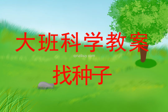 幼兒園大班科學活動:找種子大班科學活動:找種子