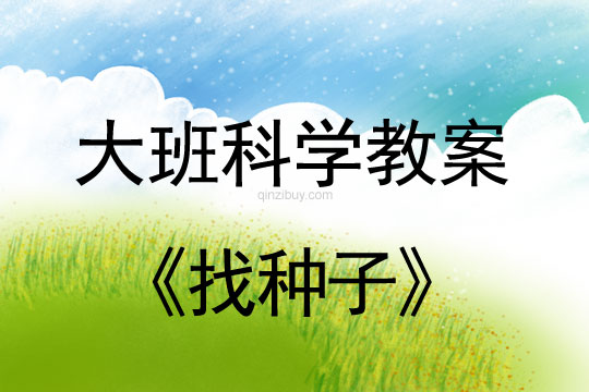 幼兒園大班科學活動:找種子大班科學教案:找種子