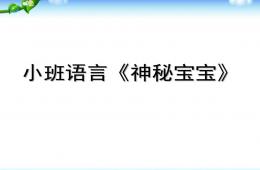 小班語言神秘寶寶PPT課件