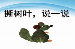 小班語言公開課撕樹葉說一說PPT課件