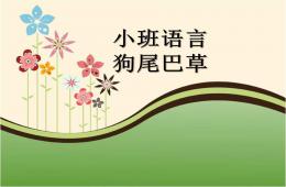 小班語言狗尾巴草PPT課件