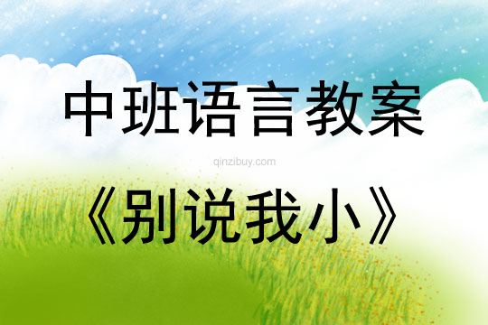 中班語言活動(dòng)《別說我小》教案反思