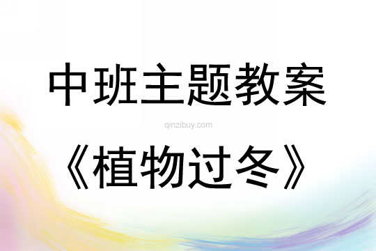 中班主題活動教案：植物過冬教案