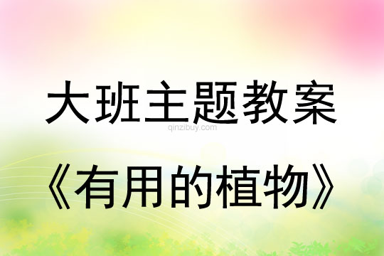 大班主題：有用的植物大班主題教案：有用的植物