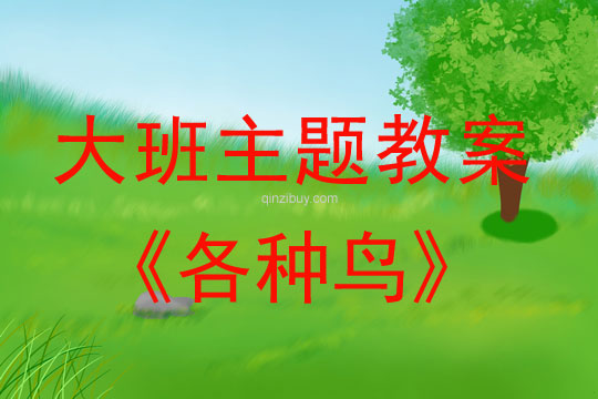 大班主題：各種鳥大班主題教案：各種鳥