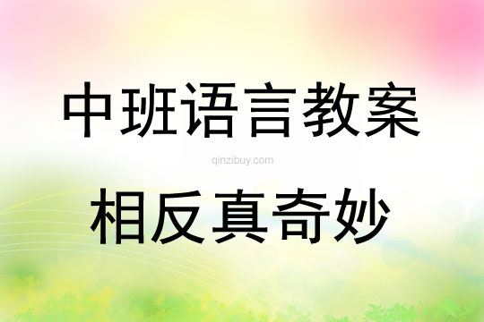 中班語言活動相反真奇妙教案反思