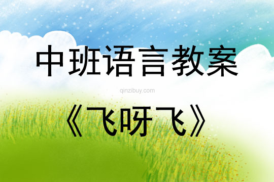 中班語言活動飛呀飛教案反思
