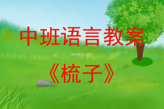 中班語言梳子教案反思