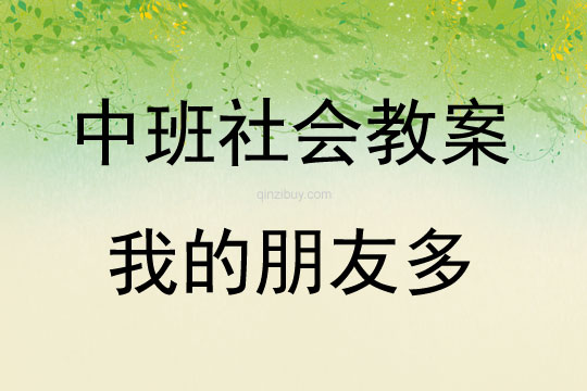 中班社會活動我的朋友多教案反思