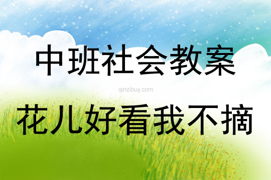 中班社會活動花兒好看我不摘教案反思