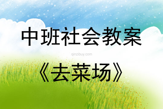 中班社會去菜場教案反思