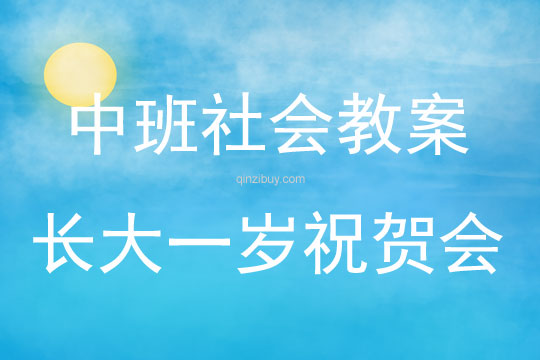 中班社會活動長大一歲祝賀會教案反思
