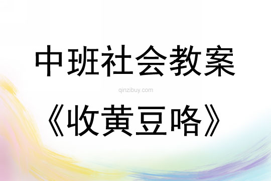 中班社會(huì)活動(dòng)收黃豆咯教案反思