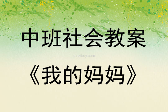 中班社會活動我的媽媽教案反思