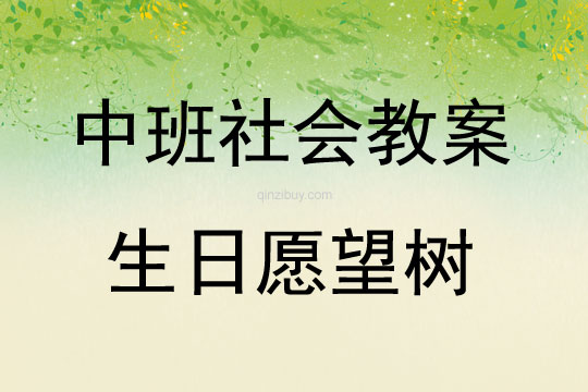 中班社會活動生日愿望樹教案反思