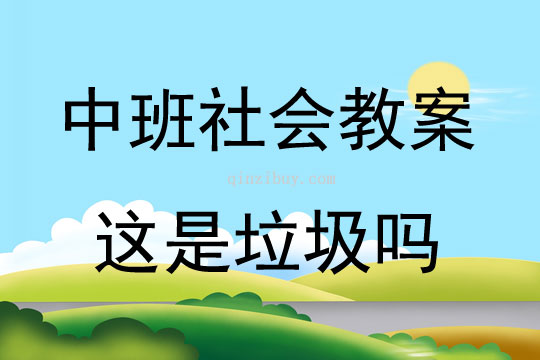 中班社會活動這是垃圾嗎教案反思