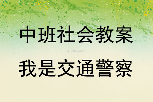 中班社會活動我是交通警察教案反思
