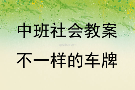 中班社會活動不一樣的車牌教案反思