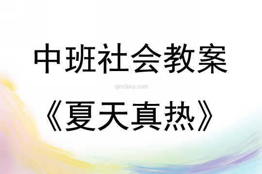 中班社會活動夏天真熱教案反思