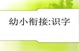 幼兒園幼小銜接語文優質課識字PPT課件