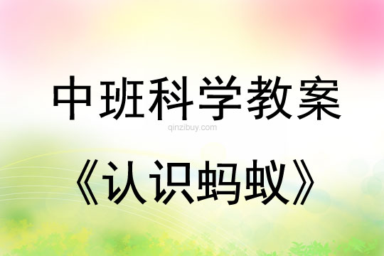 中班科學教案：認識螞蟻中班科學教案：認識螞蟻
