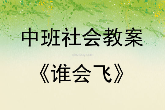 中班社會活動教案：誰會飛教案(附教學反思)
