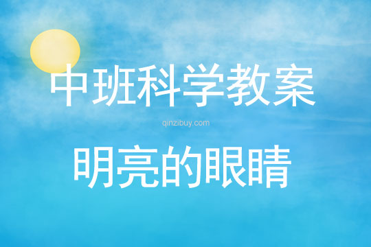 中班科學教案：明亮的眼睛中班科學教案：明亮的眼睛