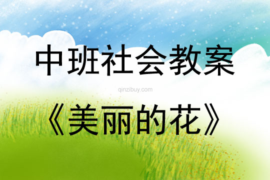 中班社會美麗的花教案反思