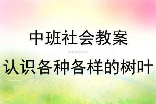 中班社會活動教案：認識各種各樣的樹葉教案(附教學反思)