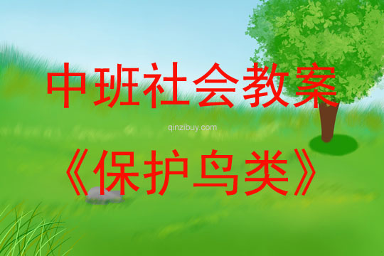 中班社會活動教案：保護鳥類教案