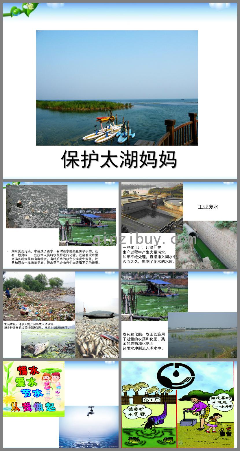 中班社會保護太湖媽媽PPT課件