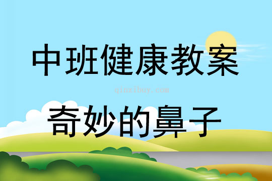 中班健康活動奇妙的鼻子教案反思