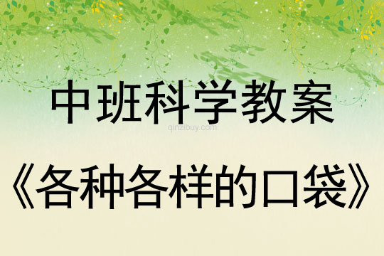 幼兒園中班科學教案：各種各樣的口袋中班科學教案：各種各樣的口袋